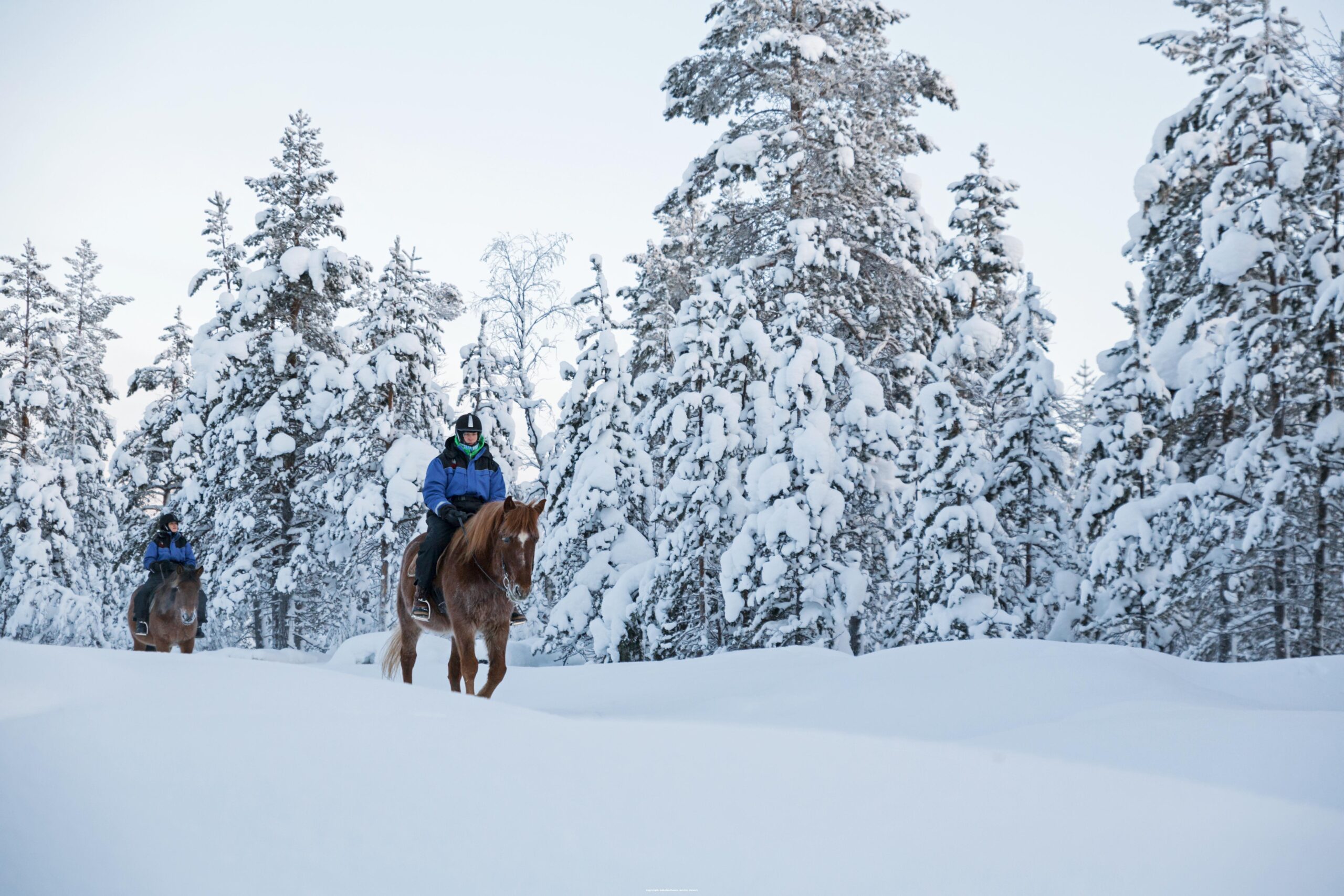 Paardrijden Kakslauttanen